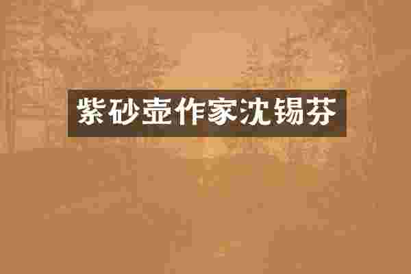 紫砂壶作家沈锡芬