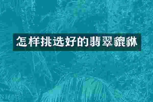 怎样挑选好的翡翠貔貅