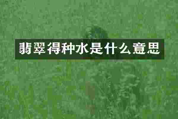 翡翠得种水是什么意思