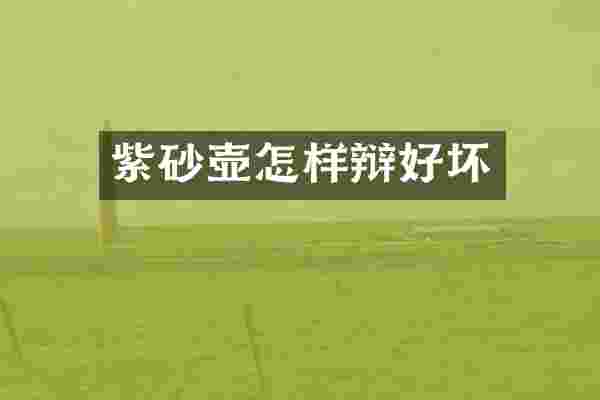 紫砂壶怎样辩好坏