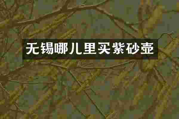 无锡哪儿里买紫砂壶