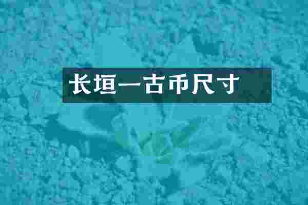 长垣一釿古币尺寸