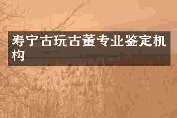 寿宁古玩古董专业鉴定机构