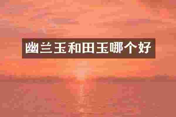 幽兰玉和田玉哪个好