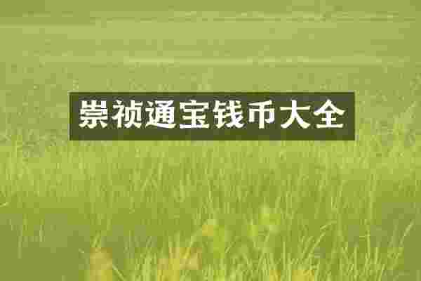 崇祯通宝钱币大全