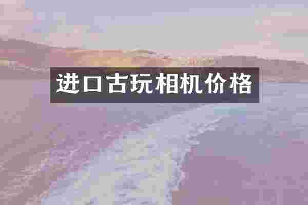 进口古玩相机价格