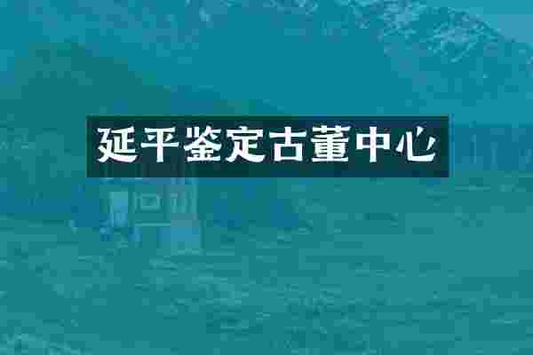 延平鉴定古董中心