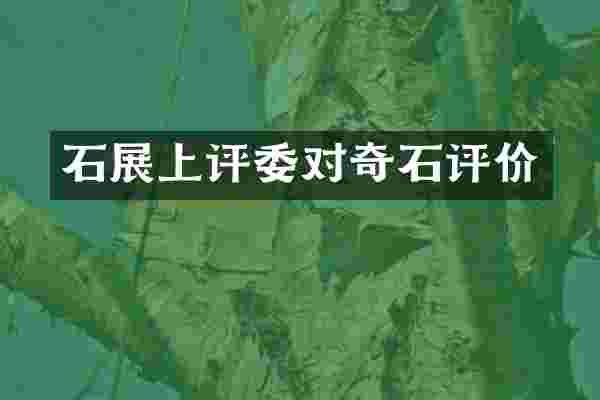 石展上评委对奇石评价