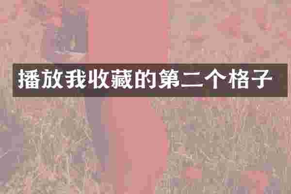播放我收藏的第二个格子