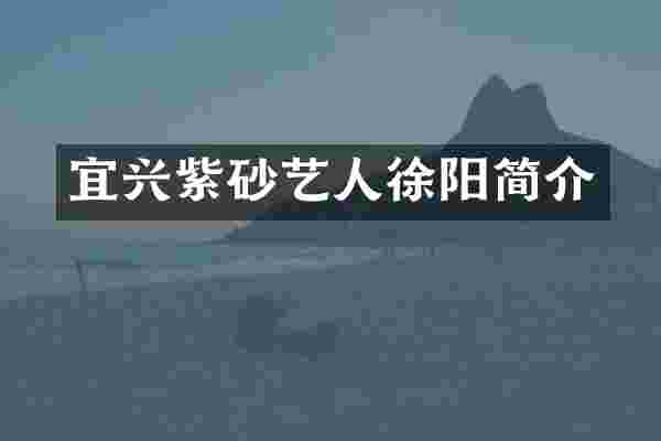 宜兴紫砂艺人徐阳简介
