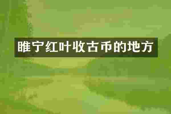 睢宁红叶收古币的地方