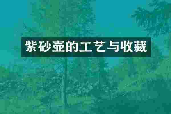 紫砂壶的工艺与收藏
