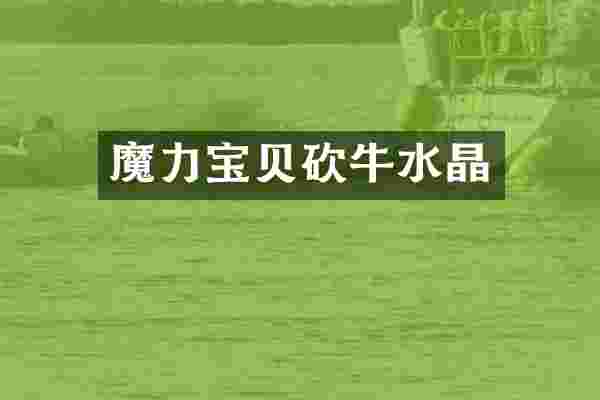 魔力宝贝砍牛水晶