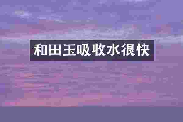 和田玉吸收水很快