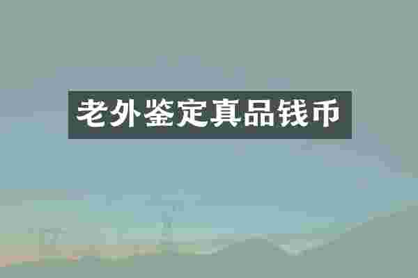 老外鉴定真品钱币