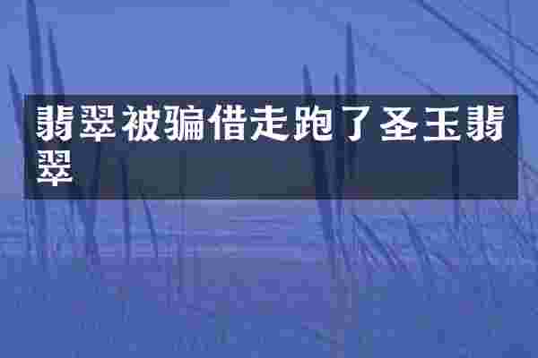 翡翠被骗借走跑了圣玉翡翠