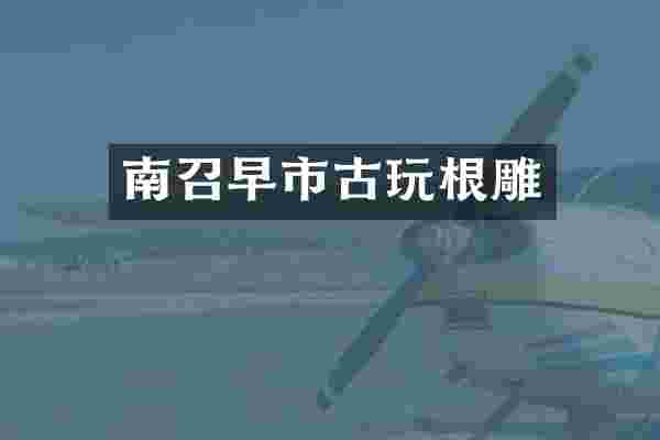 南召早市古玩根雕