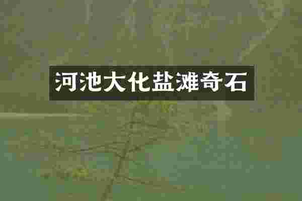 河池大化盐滩奇石