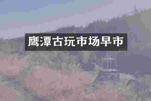 鹰潭古玩市场早市