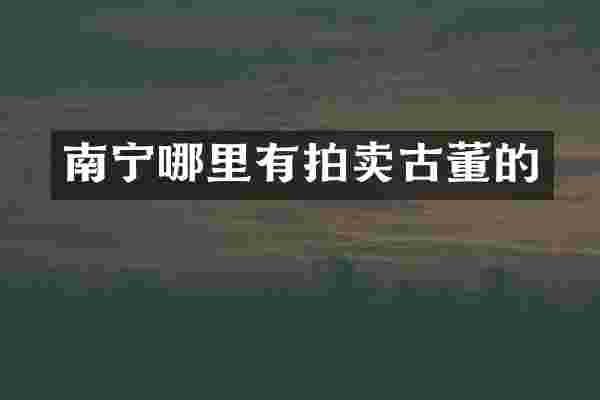 南宁哪里有拍卖古董的