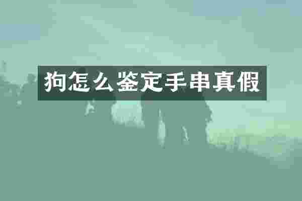 狗怎么鉴定手串真假