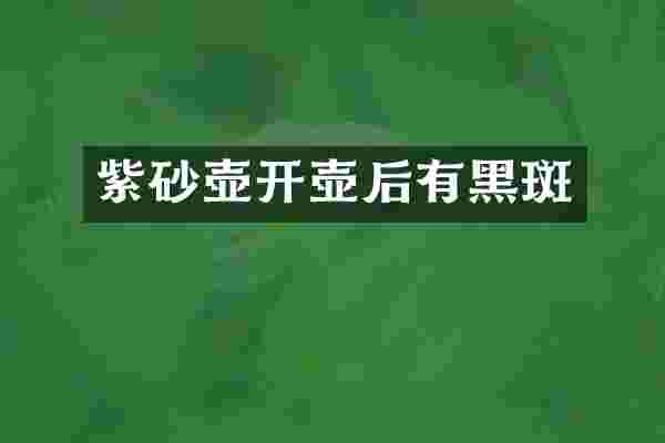 紫砂壶开壶后有黑斑