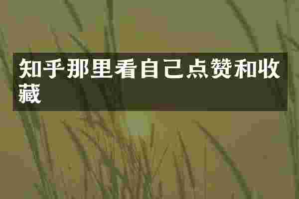 知乎那里看自己点赞和收藏