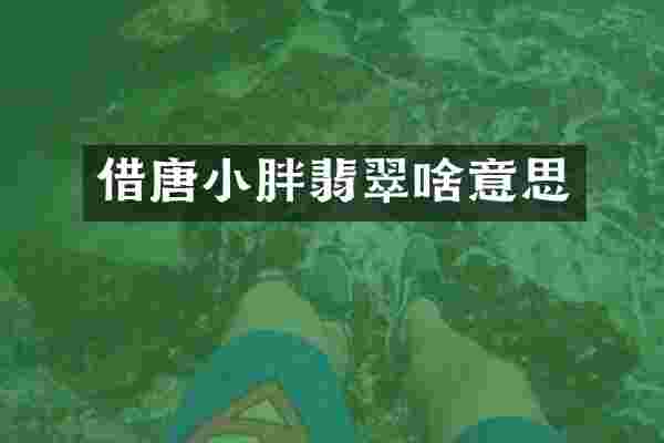 借唐小胖翡翠啥意思