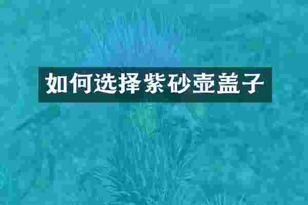 如何选择紫砂壶盖子