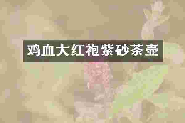 鸡血大红袍紫砂茶壶