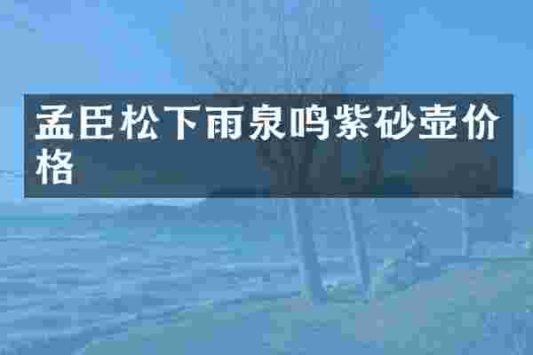 孟臣雨泉鸣紫砂壶价格