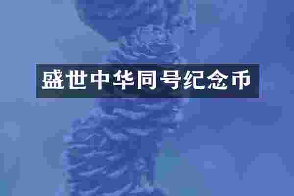 盛世中华同号纪念币