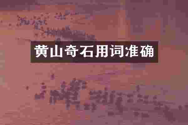 黄山奇石用词准确