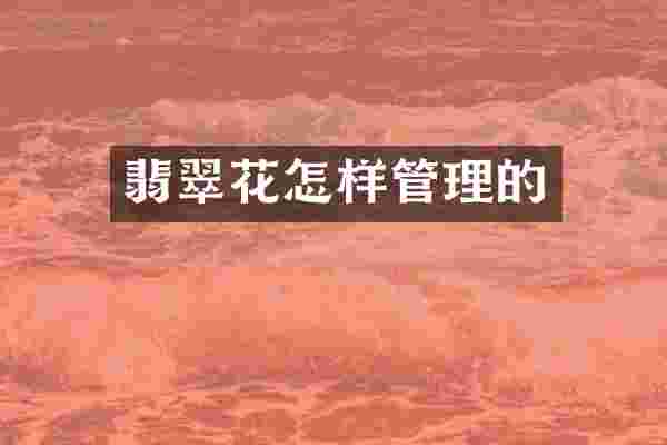 翡翠花怎样管理的