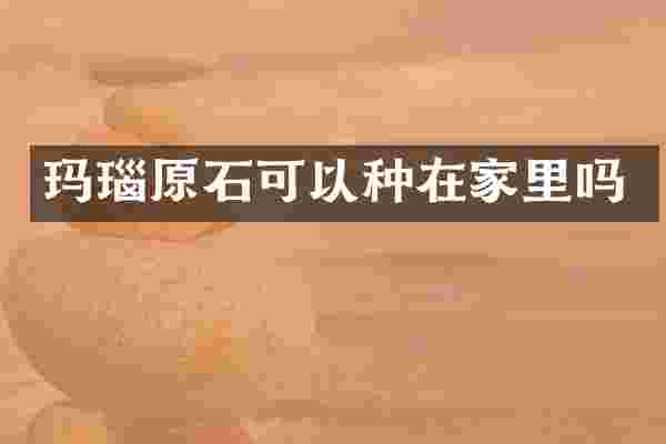 玛瑙原石可以种在家里吗