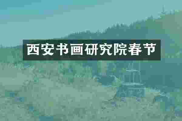 西安书画研究院春节