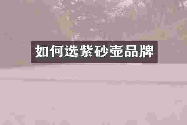 如何选紫砂壶品牌