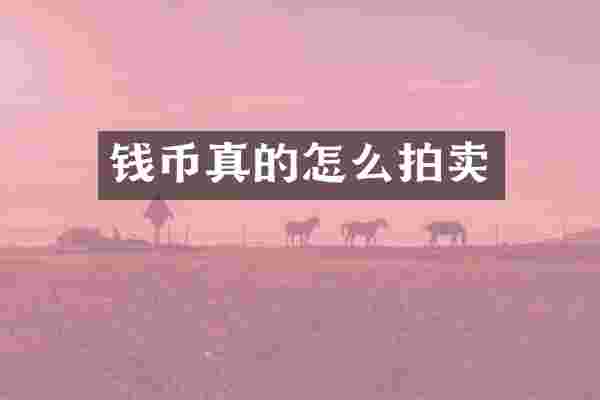 钱币真的怎么拍卖
