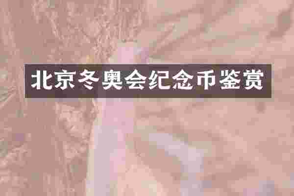 北京冬奥会纪念币鉴赏