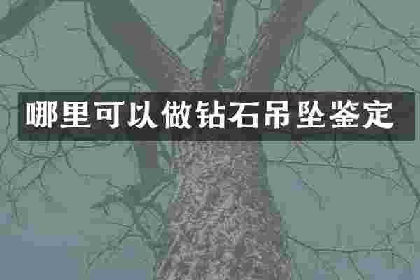 哪里可以做钻石吊坠鉴定