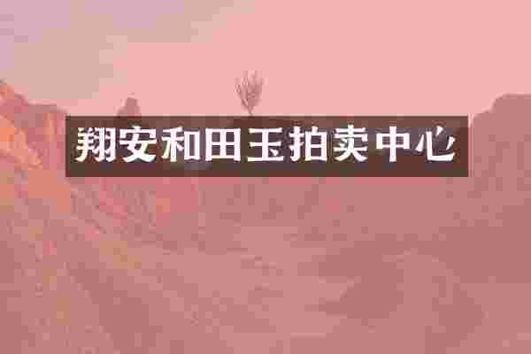 翔安和田玉拍卖中心