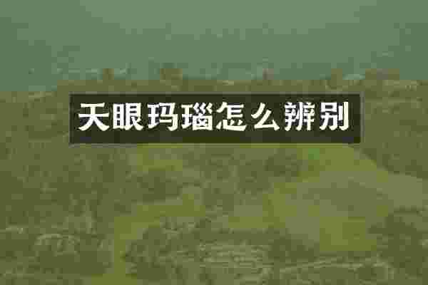 天眼玛瑙怎么辨别