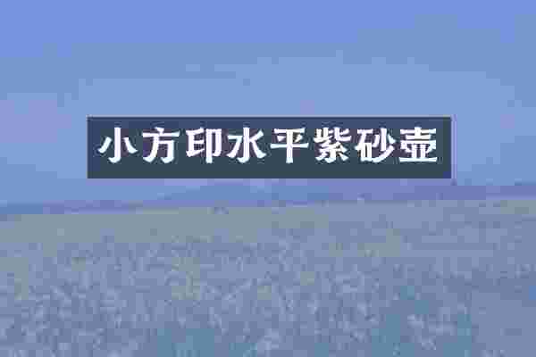 小方印水平紫砂壶