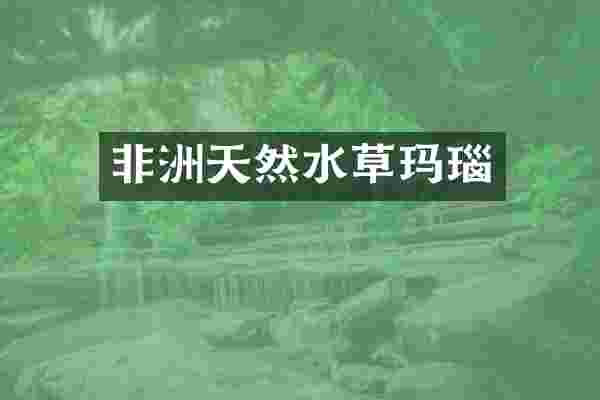 非洲天然水草玛瑙