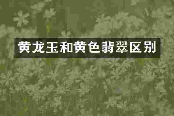黄龙玉和黄色翡翠区别