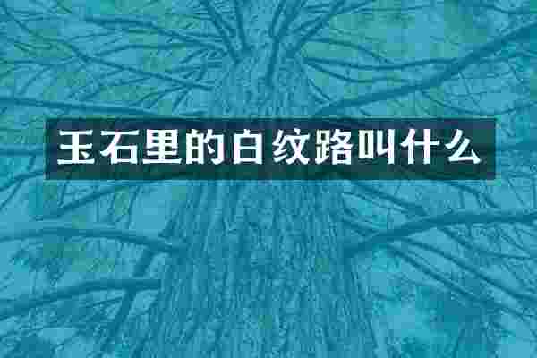 玉石里的白纹路叫什么