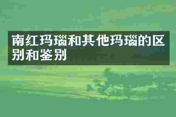 南红玛瑙和其他玛瑙的区别和鉴别