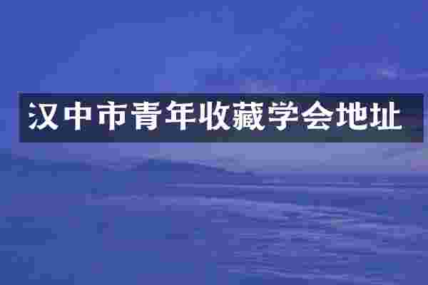 汉中市青年收藏学会地址