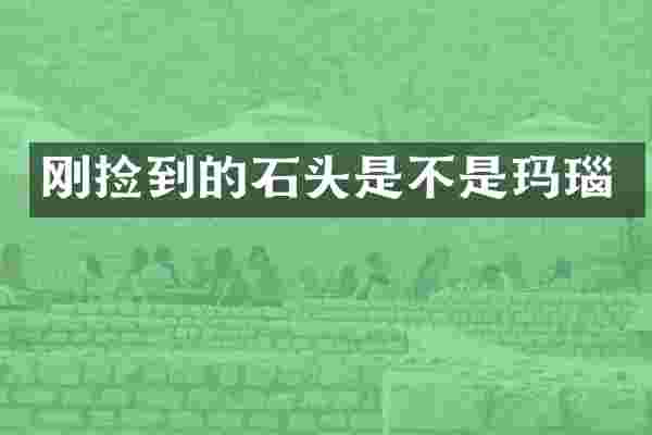 刚捡到的石头是不是玛瑙