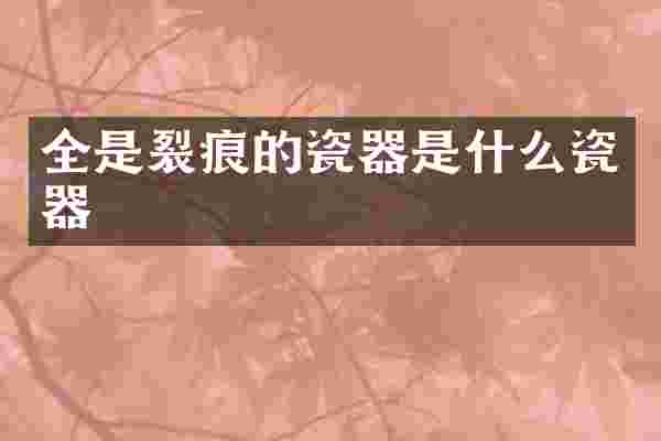 全是裂痕的瓷器是什么瓷器